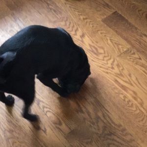 Meet your Posher, Keri